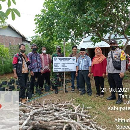 KEGIATAN PEMANFAATAN PEKARANGAN RUMAH