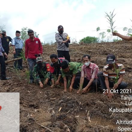 KEGIATAN PENANAMAN JAHE SKALA DESA